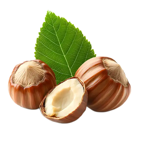 Lieska - lieskový orech