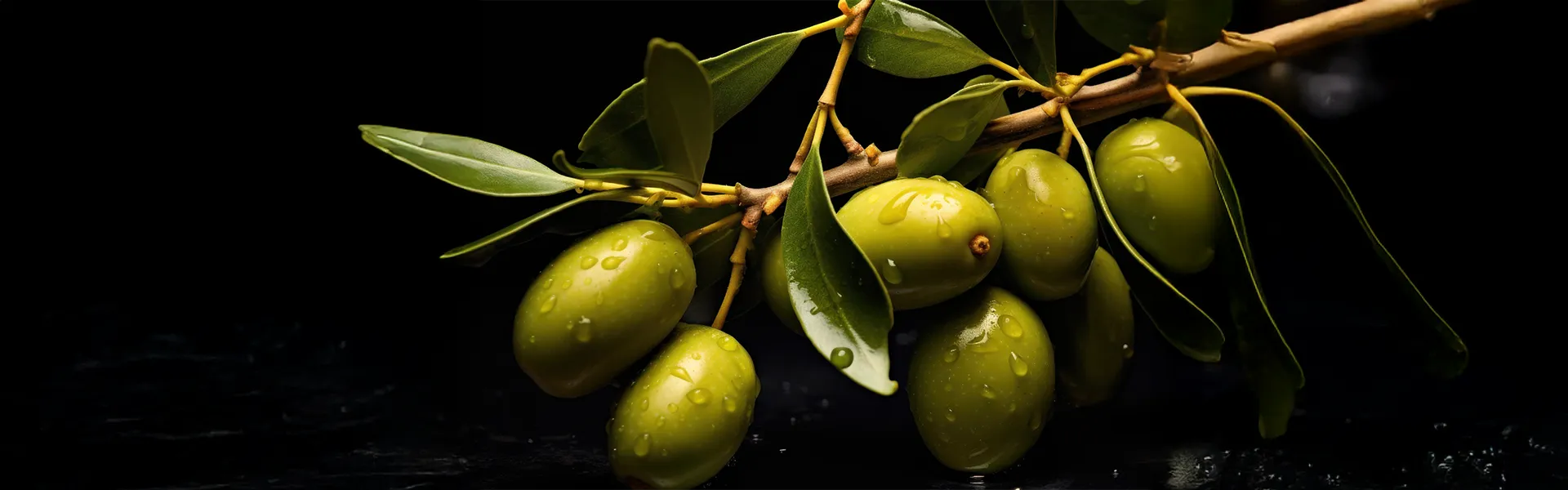 Olivovníky – banner