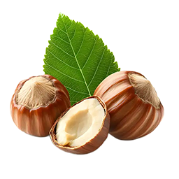 Lieska - lieskový orech