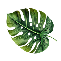 Monstera